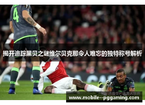 揭开追踪黑贝之谜维尔贝克那令人难忘的独特称号解析