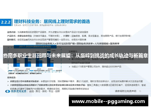 费南多职业生涯回顾与未来展望:从巅峰到挑战的成长轨迹与新篇章 费南多职业生涯回顾与未来展望:从巅峰到挑战的成长轨迹与新篇章