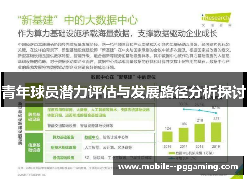 青年球员潜力评估与发展路径分析探讨