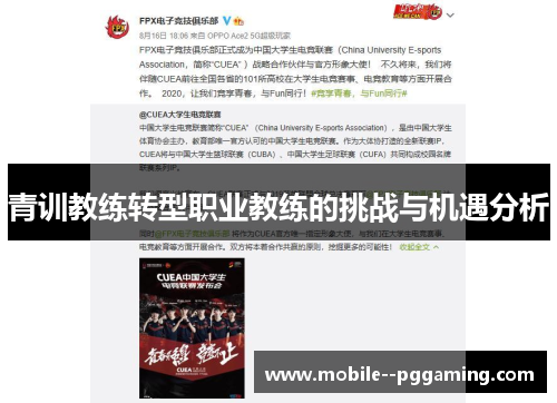 青训教练转型职业教练的挑战与机遇分析